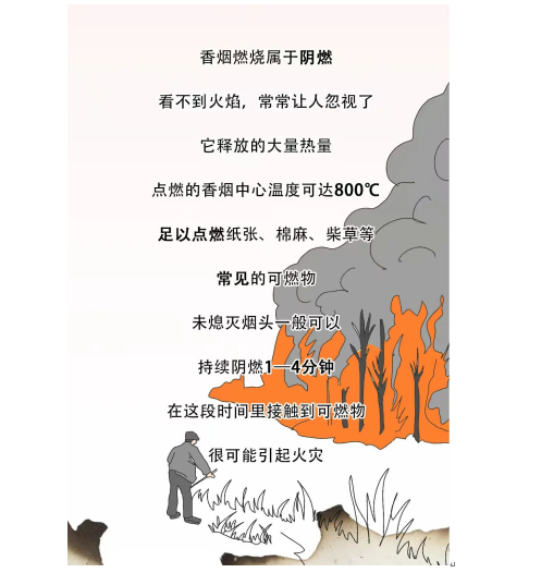 微信图片_2026-06-03_161703_180.png